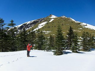 Mt. Nekodake