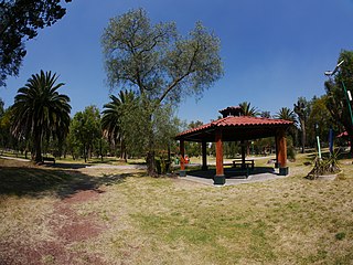 Bosque de San Juan de Aragón