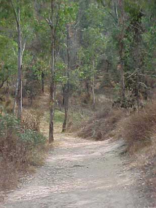 Cerro de la Estrella