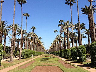 Parc de la Ligue Arabe حديقة الجامعة العربية