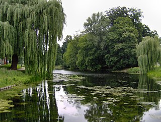 Rijsterborgherpark