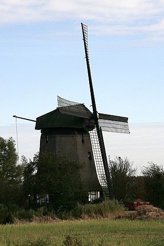 De Havik