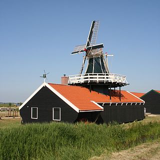 De Jonge Leeuw