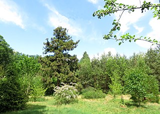 Arboretum Oostereng