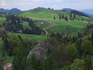 Bereśnik