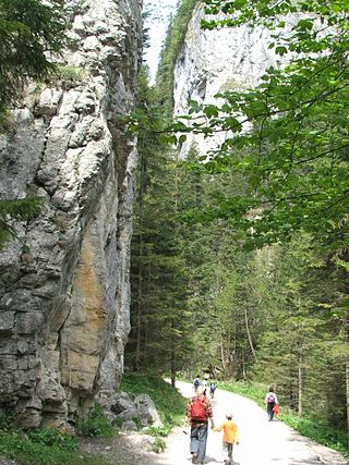 Brama Kraszewskiego