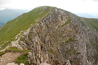 Ciemniak / Temniak