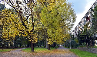 Park Szwedzki