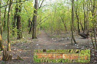 Park Rodziny Stablewskich