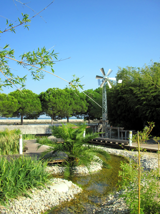 Water Gardens