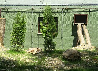 Târgu Mureș Zoological Garden