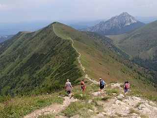 Steny, severný vrchol