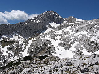 Grintovec