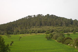 Puig d'en Bord