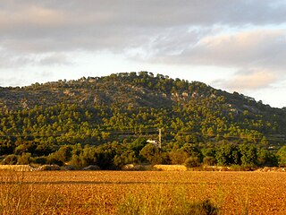 Puig d'en Claret