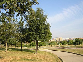 Parc de Montigalà