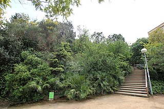 Jardins de Mercè Rodoreda