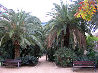 Jardins de Moragas