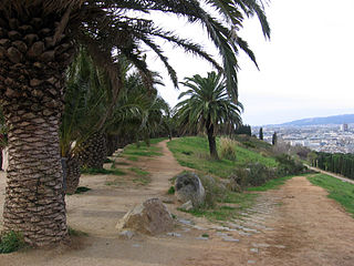 Parc del Mirador del Migdia