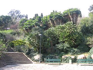 Parc del Turó del Putxet