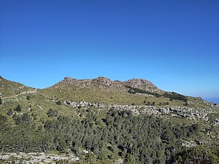 Puig Rodó