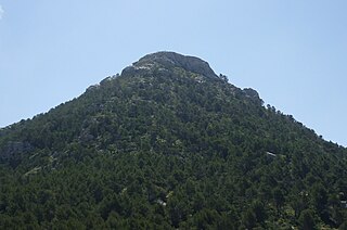 Puig de l'Ofre