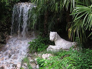 Montaña de los gatos