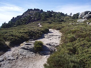 Alto del Telégrafo