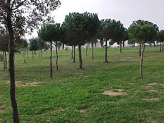 parc del G4