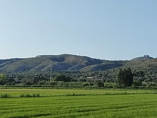 Puig de Carroig