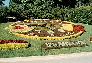 Flower clock