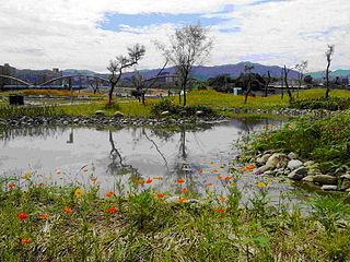 陽光運動園區