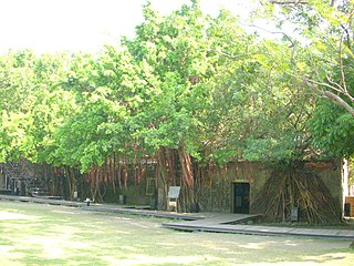 Anping Tree House