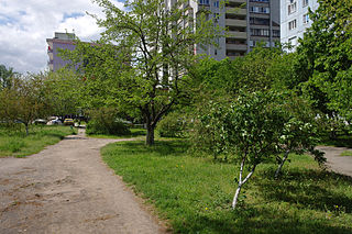 Dniprovskyi Park