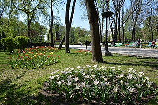 Schevchenko Park