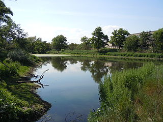 Savytskyi park