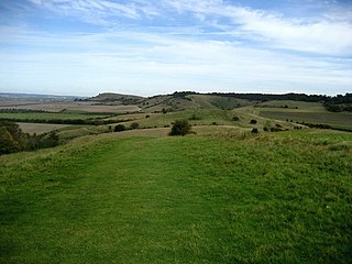 Pitstone Hill