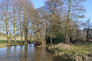 Tewinbury Nature Reserve