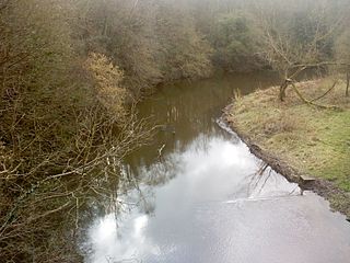 Derwent Park (Rowlands Gill)