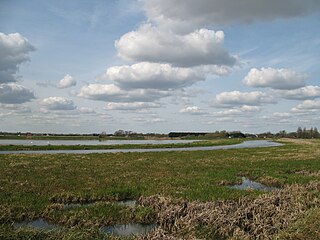 RSPB Lakenheath Fen