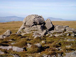 Ward's Stone