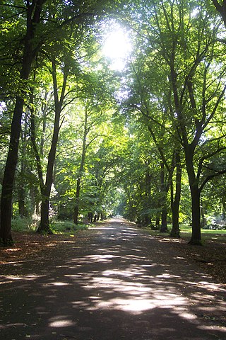 Alexandra Park