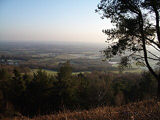 Leith Hill Tower