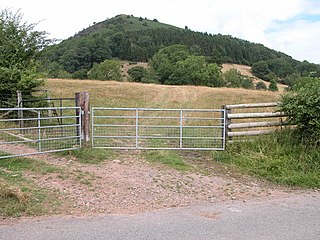 Bryn Arw