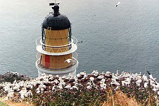 Bass Rock Lighthouse