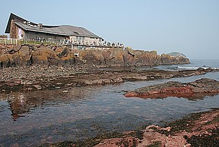 Scottish Seabird Centre