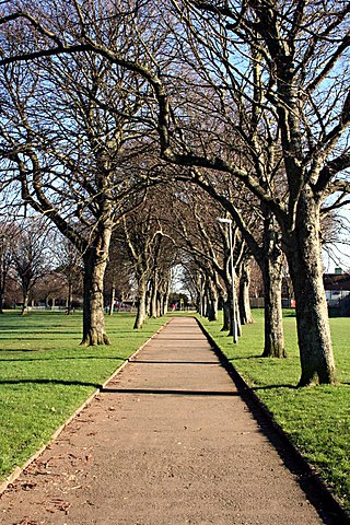 Devonport Park