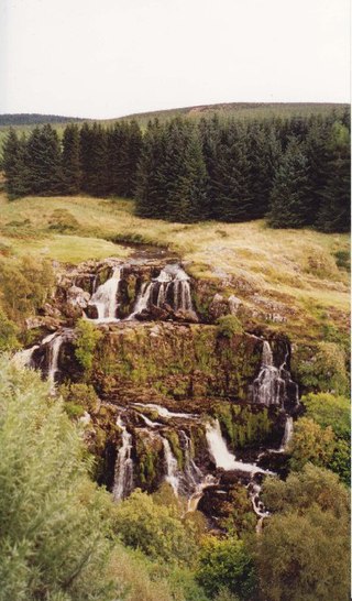 Loup of Fintry