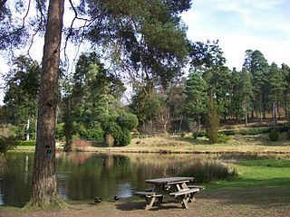 Bedgebury National Pinetum