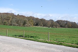 Lulworth Castle and Park